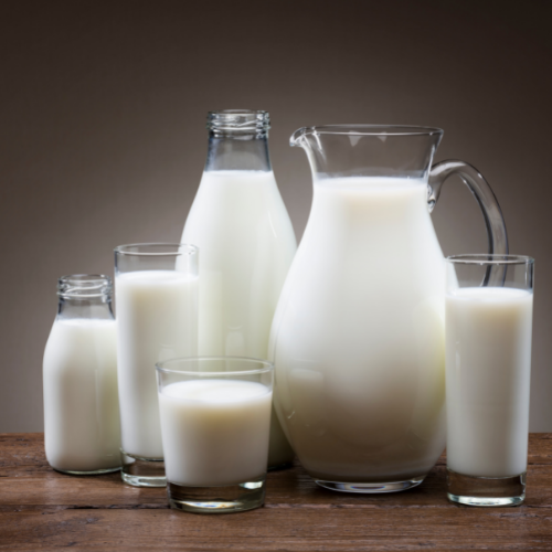 Die Milch – ein notwendiges Übel?