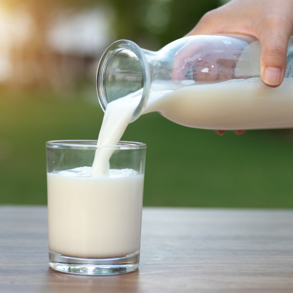 RiseUp Blogpost "Ist Milch jetzt Gift, oder?"